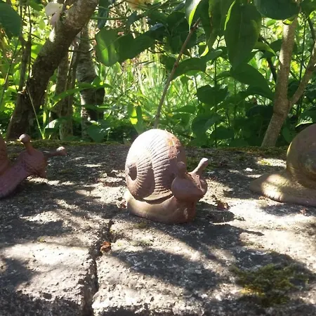 La Closerie De La Trottiniere Sainte-Suzanne-et-Chammes