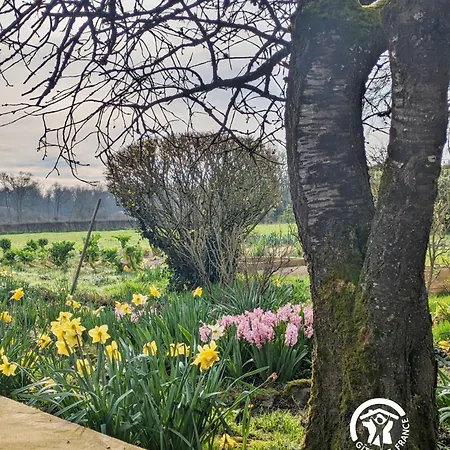 別荘 La Closerie De La Trottiniere Sainte-Suzanne-et-Chammes