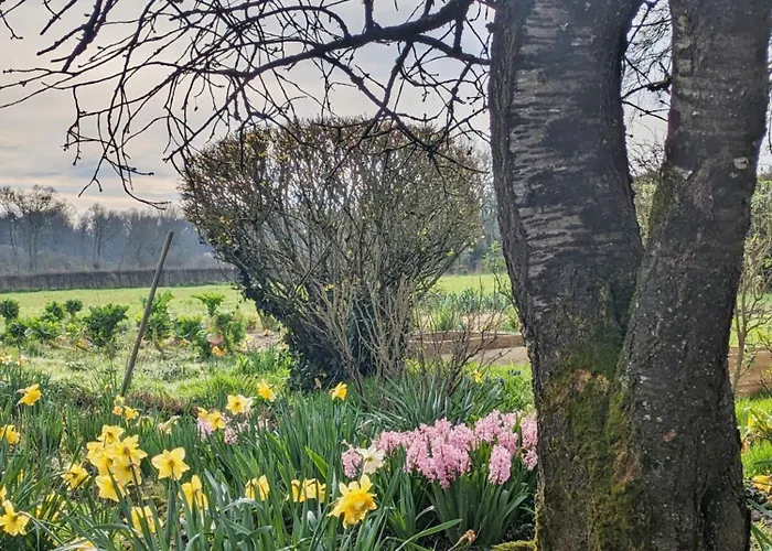 Semesterbostad La Closerie De La Trottiniere Sainte-Suzanne-et-Chammes