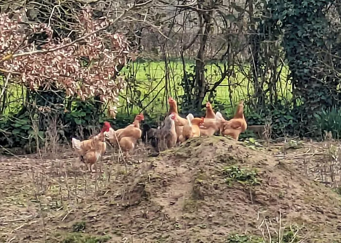 La Closerie De La Trottiniere * Sainte-Suzanne-et-Chammes